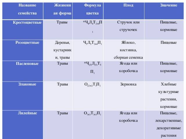 Семейства цветковых растений презентация