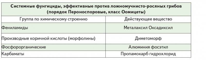 Болезни