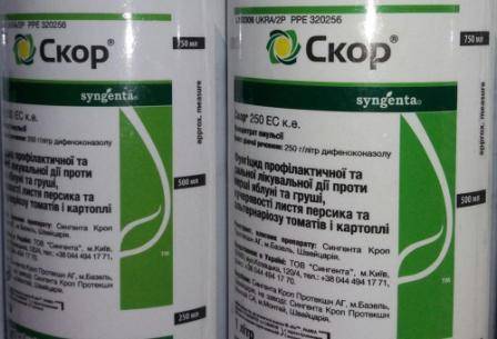 Как обработать малину от болезней и вредителей: способы и средства