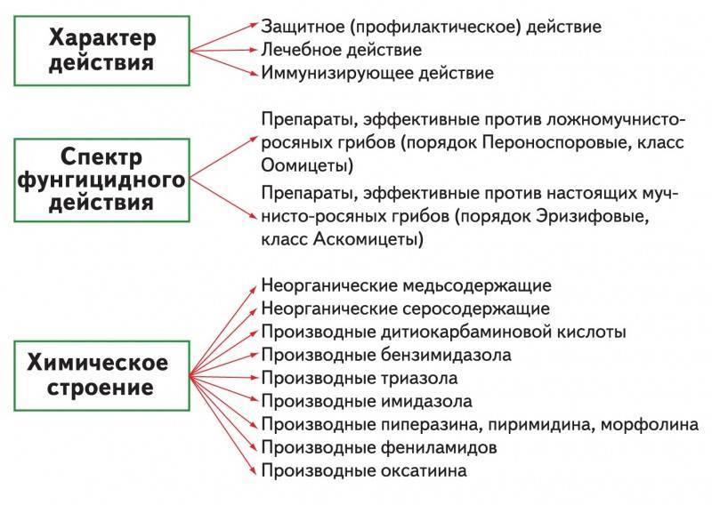Болезни