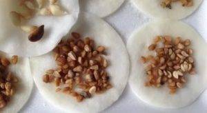 Как вырастить розы из семян из Китая? Готовые семена роз для посадки из Китая