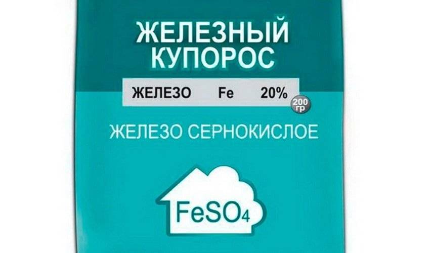Осенняя обработка винограда железным купоросом – с чем нельзя смешивать и с чем помогает справиться препарат?