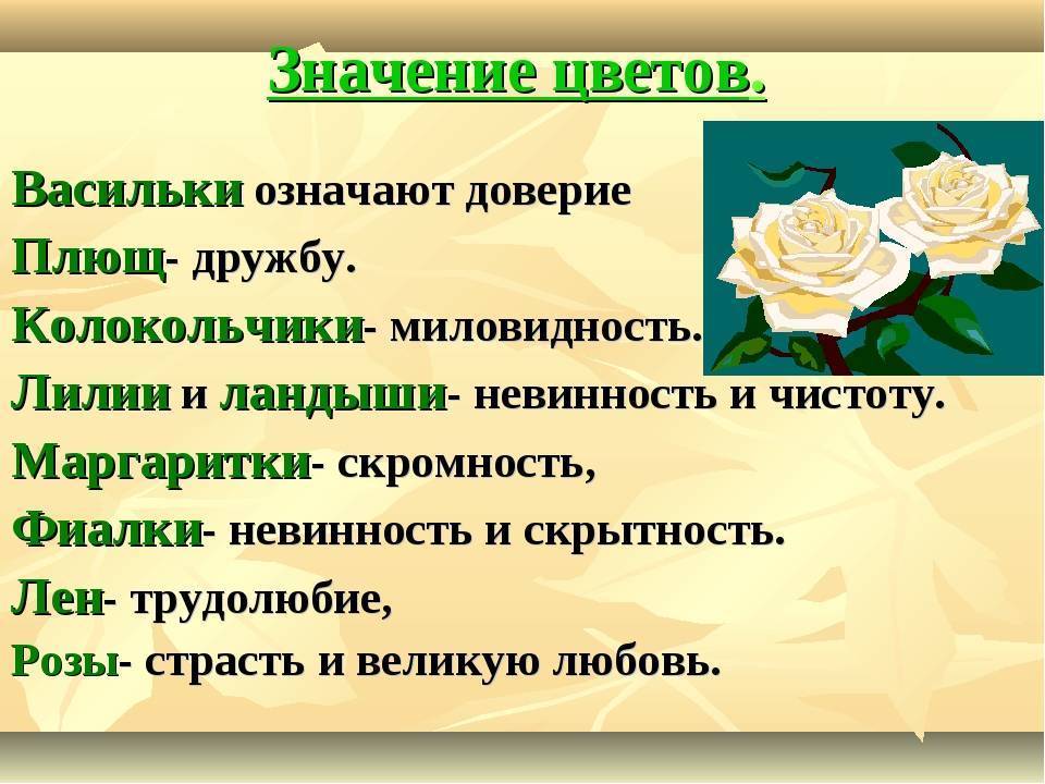 Ирисы ‒ символика, магические свойства цветка и значение в истории