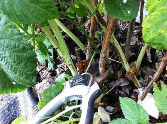 Двойная обрезка по Соболеву