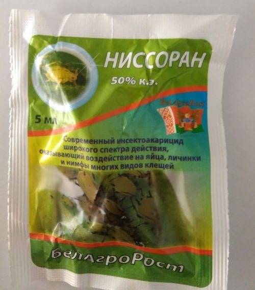 Корневой клещ