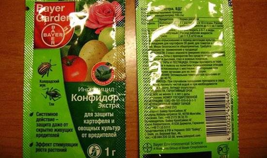 Белокрылка: как избавиться в теплице и на комнатных цветах