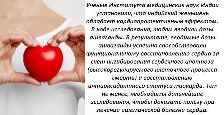 Почему ашваганда запрещена в России? Ашваганда: лечебные свойства и противопоказания