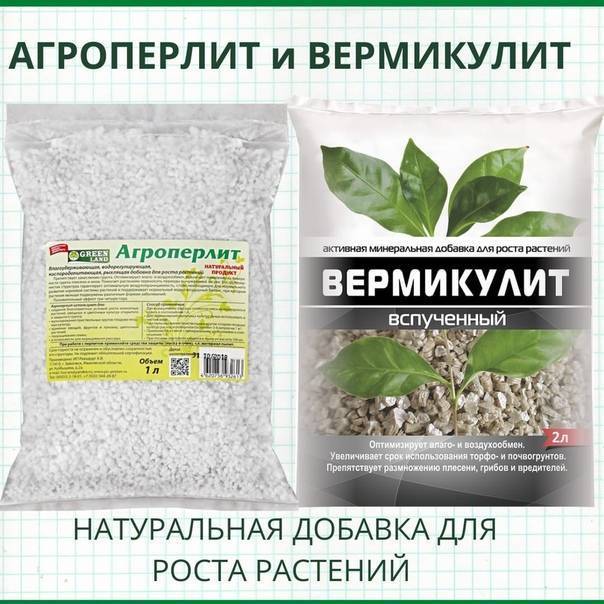 Вермикулит - что это? как применять вермикулит для растений?