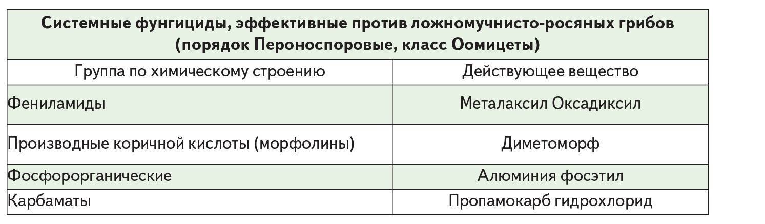 Болезни