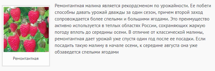 Обрезка ремонтантной малины весной поэтапно для начинающих