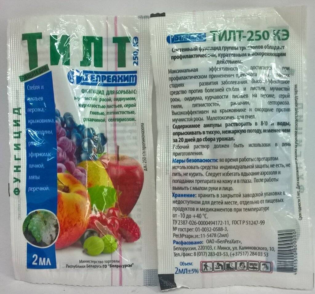 ᐉ фунгицид хом: инструкция по применению препарата, хранение, совместимость