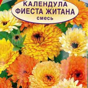 Календула: как выглядит, где растет, описание