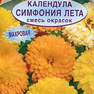 Календула: как выглядит, где растет, описание