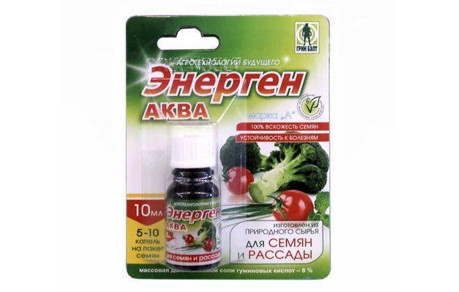 Как приготовить раствор для обработки севка лука и как сажать его в грунт