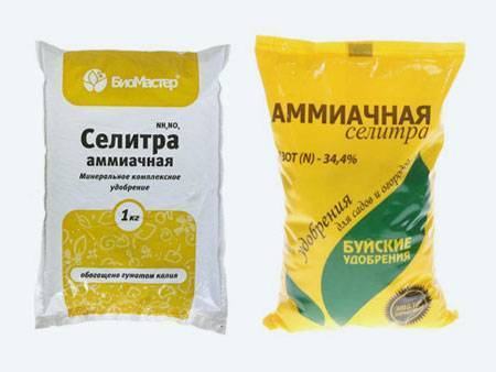 Помидоры черри на дачном участке