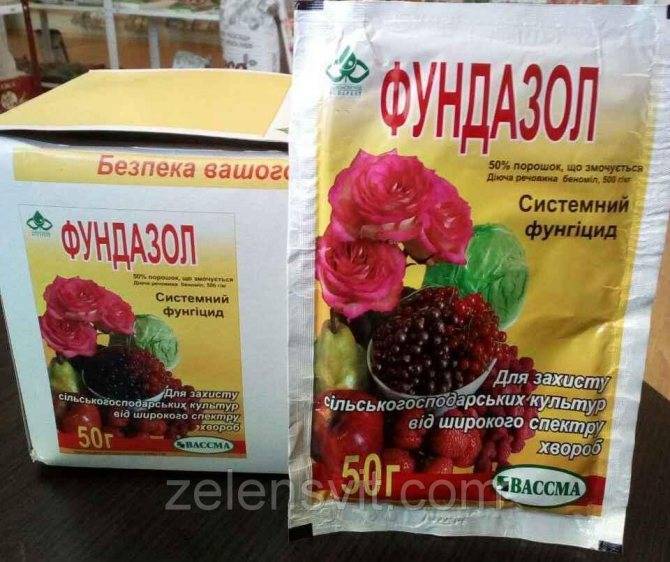 Фунгициды для растений: обзор препаратов, применение, эффективность, отзывы