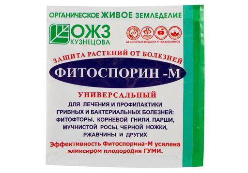 Препарат "Гамаир": инструкция по применению, отзывы, когда обрабатывать растения