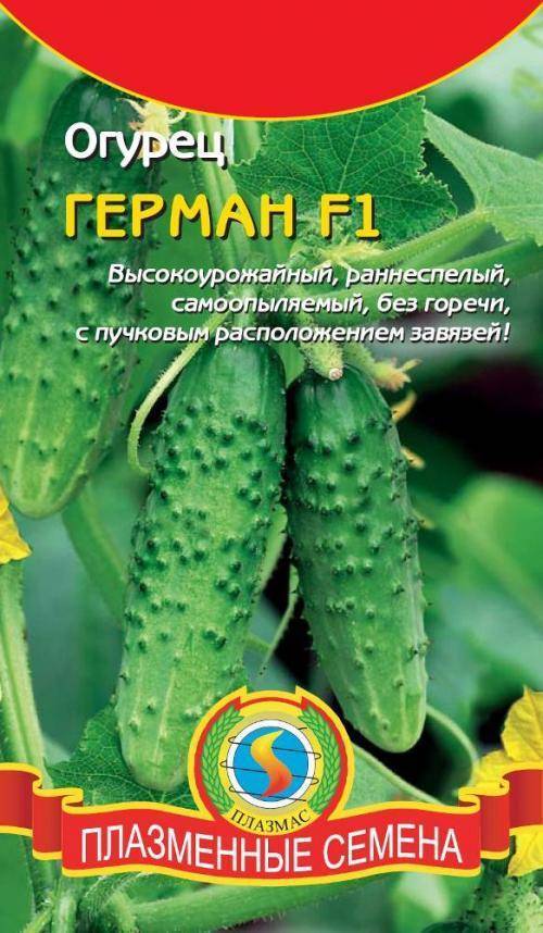 4 компонента, которые помогут увеличить урожай и продлить плодоношение огурцов