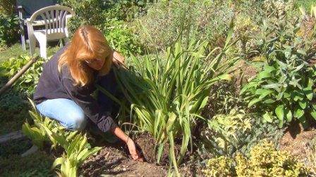 Главные работы в саду в конце лета – расслабляться рано