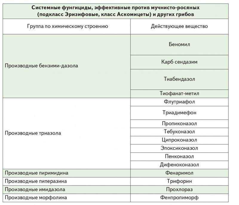 Болезни